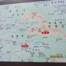 20150301 동산(충북 단양, 봉천)