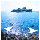 강정동-75 이미지