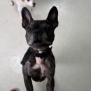 소래로669번길 이미지