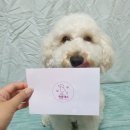 멍플랙스 이미지