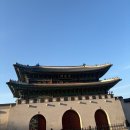 동동로R | 3월 일상 -2: R=VD 끌어당김의 법칙