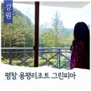 용평제4차콘도미니엄(그린피아) | 강원도 시원한 여름휴가 숙소 평창 용평리조트 그린피아콘도 A동 38평 마운틴뷰