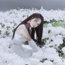 도드리 MHN스포츠