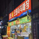경포배오징어 이미지