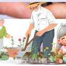 대한노인회 구로구지회 | 구로구 어르신일자리 12월1일부터 모집