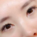 라움래쉬 - 원주시 명륜동 | 동래속눈썹 동래롯백 근처 속눈썹연장 잘하는 은라움래쉬