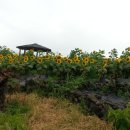 김경숙농장 이미지