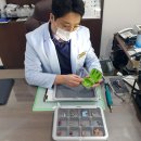 처인보청기의료기 | 분당보청기 상담받고 만족한 한미보청기