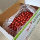 인숙농장 이미지