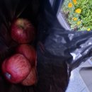 상봉역8번출구 이미지