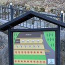 직두리 | 포천 글램핑 추천 '노블글램핑 카라반 C5 마운틴뷰' 솔직후기 (불멍·바비큐 가능)