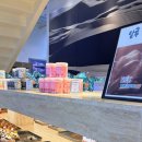 서울대명초등학교 | 김포대형카페 수산공원 서울 근교 나들이 장소 1순위 등극 내돈내산 후기