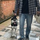 남해 낭만스테이 이미지