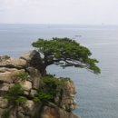 선경도서관 동아리실 | [삶을 바꾼 만남2]10월 14일 화요일 모임 후기 - 다시 시작