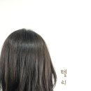 텔리뷰티