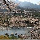 지리산명성농원 이미지