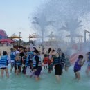 월드 합기도 이미지