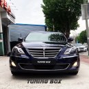 캣 프라다 이미지