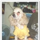 두지농장 이미지