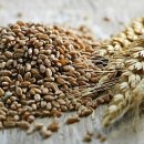 삼교리동치미막국수교동점 이미지