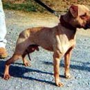 메이데이 이미지