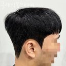 옴므클래식 네이버블로그