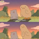 해피데이지