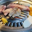 산청쏠라 이미지