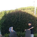 사곡셀프세차장
