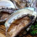 주식회사 케이티알파 이미지