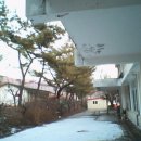 의흥동부초 Daum카페