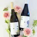 친환경 식물 메이커 | [공지] let it be verdejo 2024/렛잇비, 오가닉 베르데호 2024