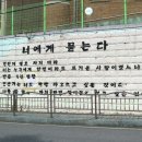 삼척 도계읍 도계느티로 강원 네이버블로그
