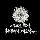 이병석태권도아카데미 이미지