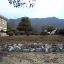 도원초등학교 이미지