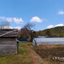 세븐일레븐 파주용미리점 이미지