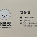 청주강아지분양 애견입양 애견미용 바른펫 이미지