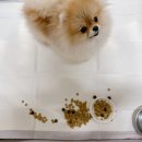 나을동물병원 이미지