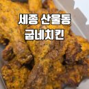 세종 산울동 맛집 굽네치킨 오픈 할인 행사 기간 후기