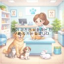 사랑실천동물병원 - 2068 | 사랑실천동물병원
