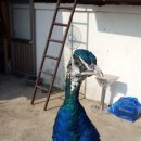 미정농장 이미지