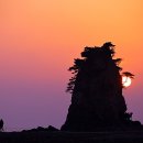 안면도바다처럼 이미지