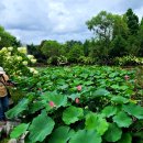 태신목장 이미지