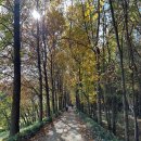 광주공원 어린이 놀이터 | 광주 공원 산책로 나들이 광주시민의숲