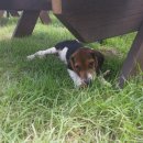 남양주펜션 이미지