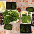 스테이해늘 이미지