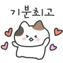 강릉시티투어여행사 이미지