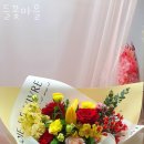 들꽃마을 이미지