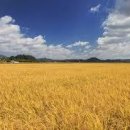 허수아비 이미지