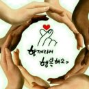 생식 이미지